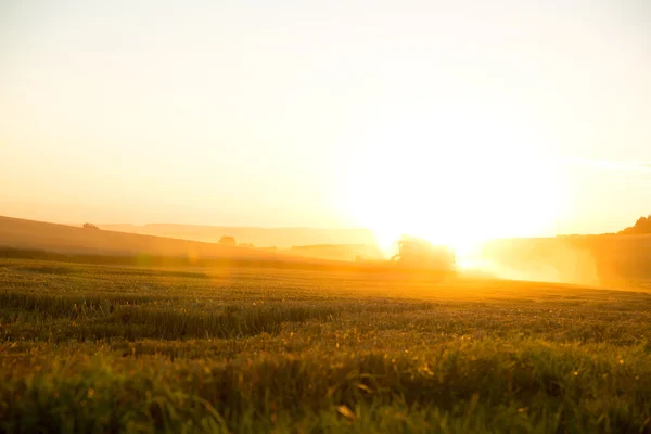 Sunset, betakarított mező fölött — Stock Fotó